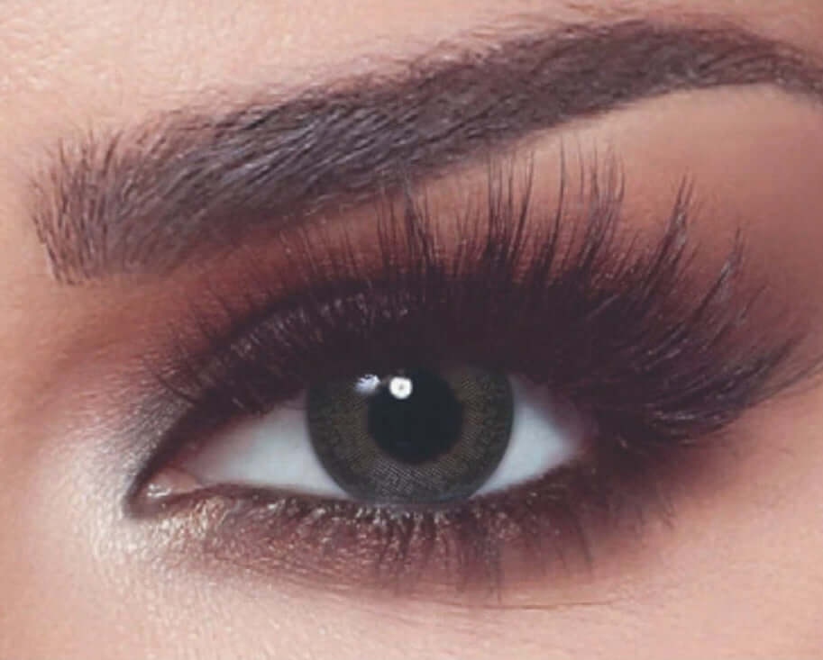 Bella OneDay Ash Brown Power 0.00 to -6.00