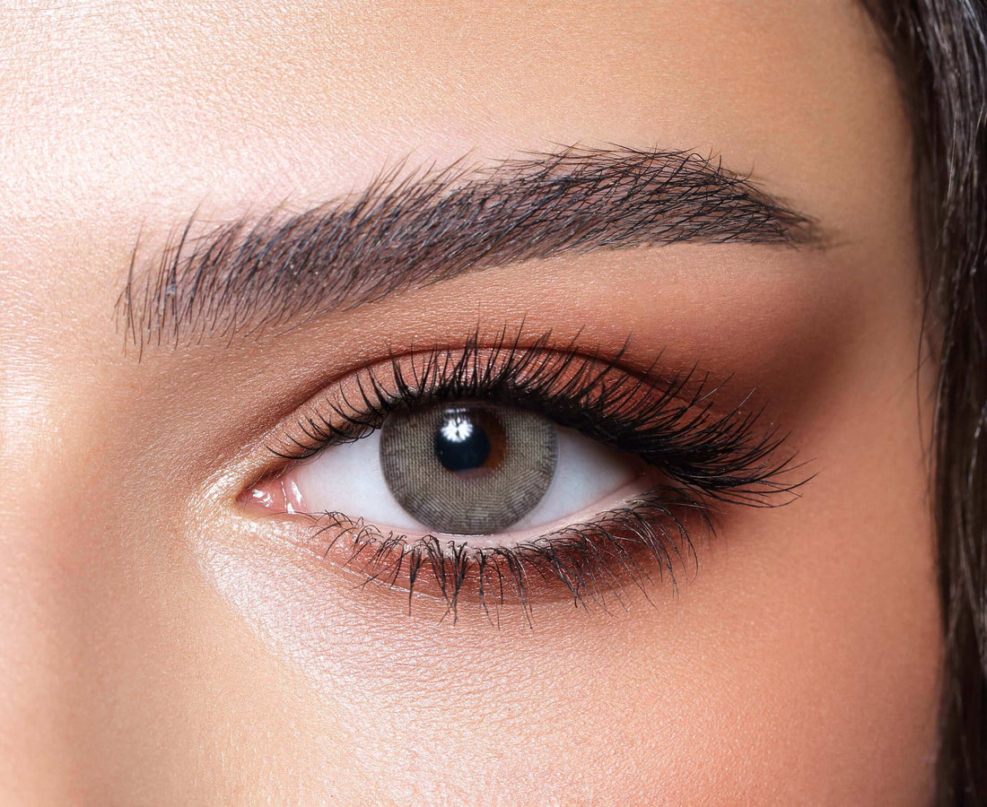 Bella Elite Grey Olive Power 0.00 to -6.00