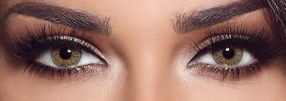 Bella OneDay Radiant Hazelnut Power 0.00 to -6.00