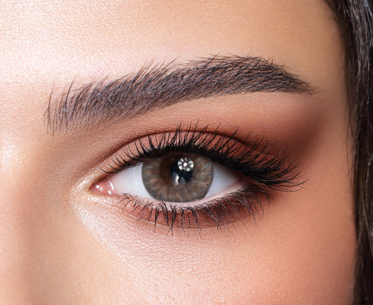 Bella OneDay Rosewood Power 0.00 to -6.00